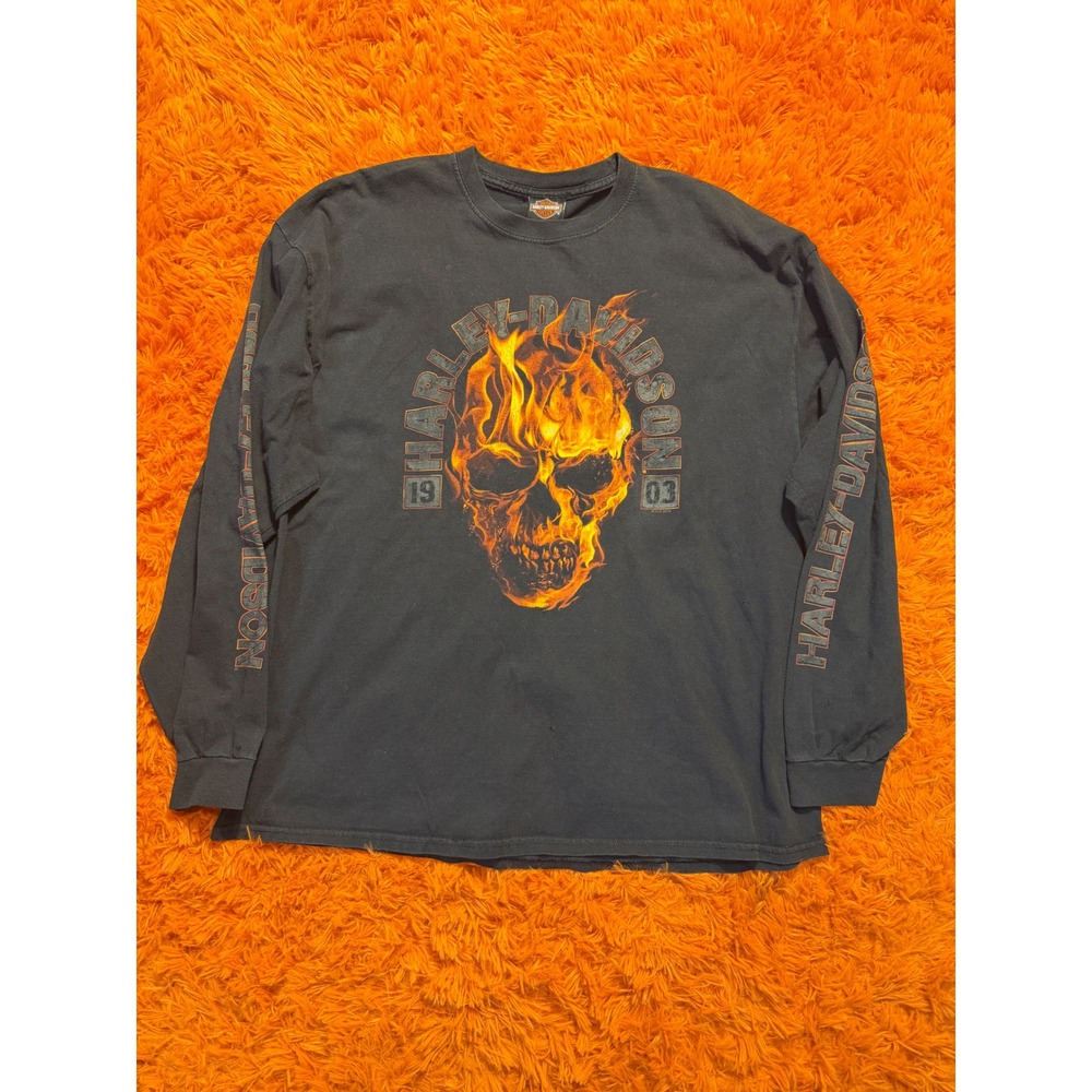 Harley-Davidson Flaming Skull Long Sleeve Shirt Mens 2XL Viking Land Brainerd MN